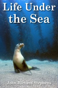 Produktbild: Life Under the Sea