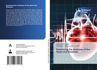 Produktbild: Examining the Anatomy of the Heart and Diseases