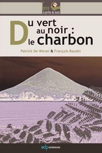 Produktbild: Du vert au noir : le charbon