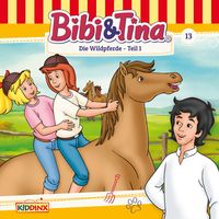 Produktbild: Die Wildpferde, Teil 1