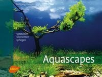 Produktbild: Aquascapes