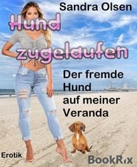 Produktbild: Hund zugelaufen