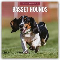 Produktbild: Basset Hounds &ndash; Basset Hound 2027 &ndash; 16-Monatskalender