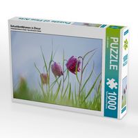 Produktbild: CALVENDO Puzzle Schachbrettblumen in Ziesar 1000 Teile Puzzle quer | 1000 Teile Lege-Gr&ouml;&szlig;e 64 &times; 48 cm Foto-Puzzle f&uuml;r gl&uuml;ckliche Stunden