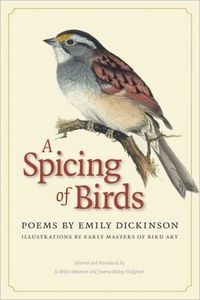 Produktbild: A Spicing of Birds
