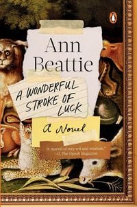Produktbild: A Wonderful Stroke of Luck