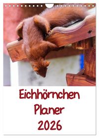 Produktbild: Eichh&ouml;rnchen Planer 2026 (Wandkalender 2026 DIN A4 hoch), CALVENDO Monatskalender