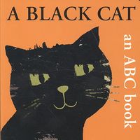 Produktbild: A Black Cat
