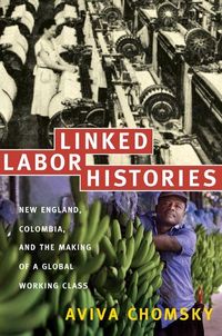 Produktbild: Linked Labor Histories