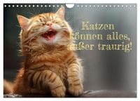 Produktbild: Katzen k&ouml;nnen alles, au&szlig;er traurig. (Wandkalender 2026 DIN A4 quer), CALVENDO Monatskalender