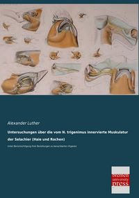 Produktbild: Untersuchungen &uuml;ber die vom N. trigenimus innervierte Muskulatur der Selachier (Haie und Rochen)