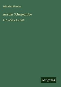 Produktbild: Aus der Schneegrube
