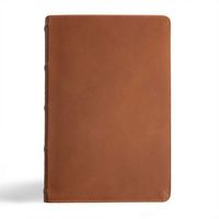 Produktbild: CSB Men's Daily Bible, Brown Genuine Leather, Indexed