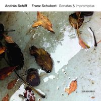 Produktbild: Franz Schubert: Sonatas & Impromptus