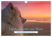 Produktbild: Ein Samojede am Meer (Wandkalender 2026 DIN A4 quer), CALVENDO Monatskalender