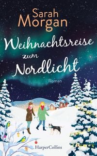 Produktbild: Weihnachtsreise zum Nordlicht
