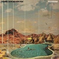 Produktbild: Pleasure