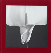 Produktbild: Mapplethorpe Flora