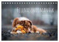 Produktbild: Fellnasenromantik (Tischkalender 2026 DIN A5 quer), CALVENDO Monatskalender