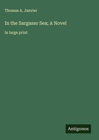 Produktbild: In the Sargasso Sea; A Novel
