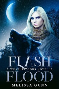Produktbild: Flash Flood