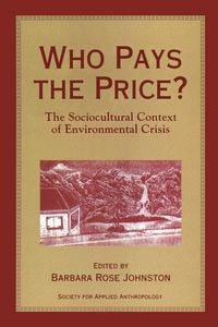 Produktbild: Who Pays the Price?