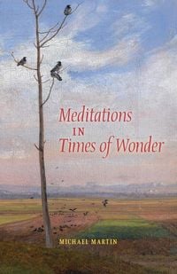 Produktbild: Meditations in Times of Wonder