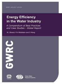 Produktbild: Energy Efficiency in the Water Industry