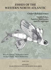 Produktbild: Order Beloniformes