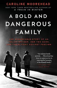 Produktbild: Bold and Dangerous Family, A