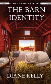 Produktbild: The Barn Identity