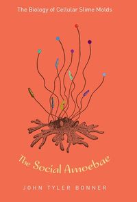 Produktbild: Bonner, J: Social Amoebae