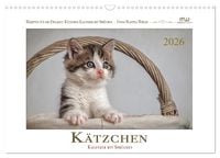 Produktbild: K&auml;tzchen-Kalender mit Spr&uuml;chen (Wandkalender 2026 DIN A3 quer), CALVENDO Monatskalender
