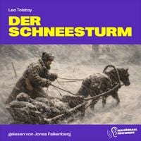Produktbild: Der Schneesturm