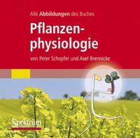 Produktbild: Alle Grafiken des Lehrbuchs Pflanzenphysiologie