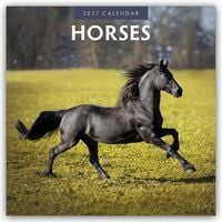 Produktbild: Horses &ndash; Pferde 2027 &ndash; 16-Monatskalender