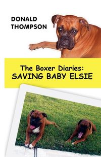 Produktbild: The Boxer Diaries