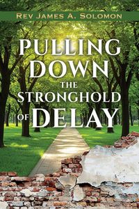 Produktbild: Pulling Down The Stronghold Of Delay