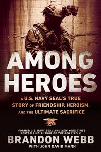 Produktbild: Among Heroes