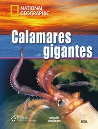 Produktbild: Calamares gigantes