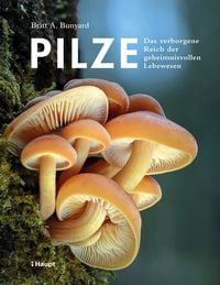 Produktbild: Pilze