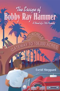 Produktbild: The Escape of Bobby Ray Hammer, A Novel of a '50s Family