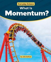 Produktbild: What Is Momentum?