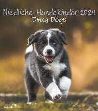 Bild vom Artikel Niedliche Hundekinder 2024 - Wand-Kalender - Tier-Kalender - 30x34 vom Autor 
