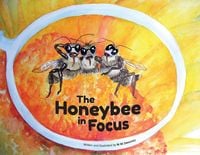 Produktbild: The Honeybee in Focus