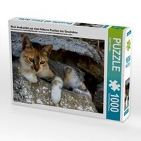 Produktbild: CALVENDO Puzzle Muck beobachtet aus einer h&ouml;heren Position das Geschehen | 1000 Teile Lege-Gr&ouml;&szlig;e 64x48cm Foto-Puzzle f&uuml;r gl&uuml;ckliche Stunden