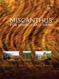 Produktbild: Miscanthus