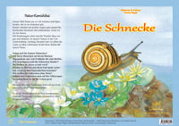 Produktbild: Natur-Kamishibai / Die Schnecke - Natur-Kamishibai