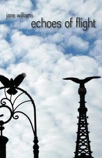 Produktbild: Echoes of flight