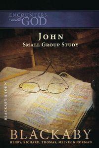 Produktbild: The Gospel of John